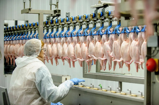   Brazil’s Bird Flu Outbreak: Global Chicken Prices Surge – Impact on UAE Market by ALiftar.com