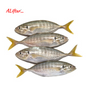 Fresh Durduman Fish | Whole | 1kg