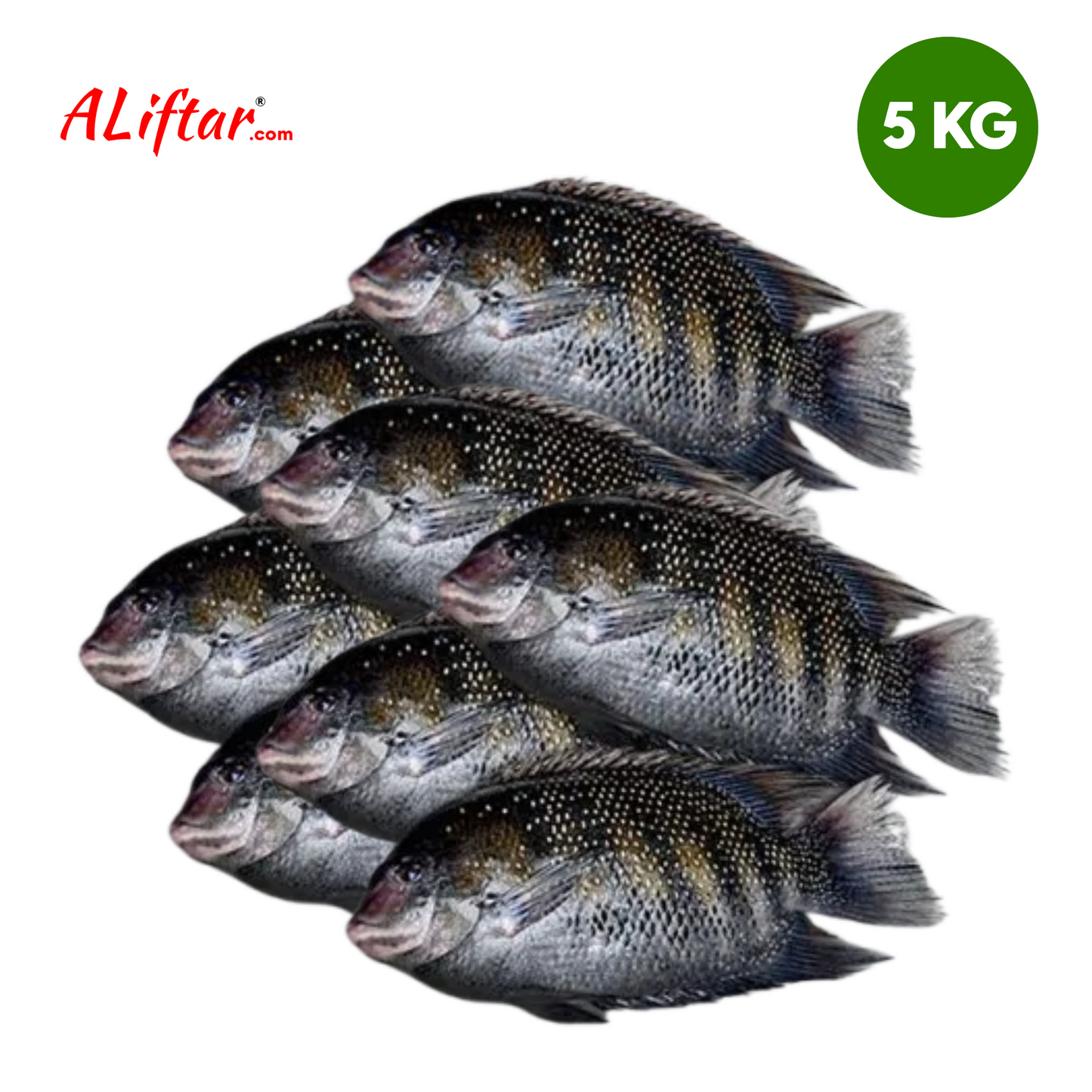 Fresh Karimeen Fish (Pearl Spot) | 5kg