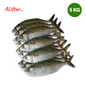 Fresh Mackerel Fish | Whole | 5kg