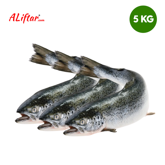 Fresh Salmon Fish 4-5 Pcs | 5kg