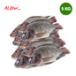 Fresh Tilapia Fish | 5 kg