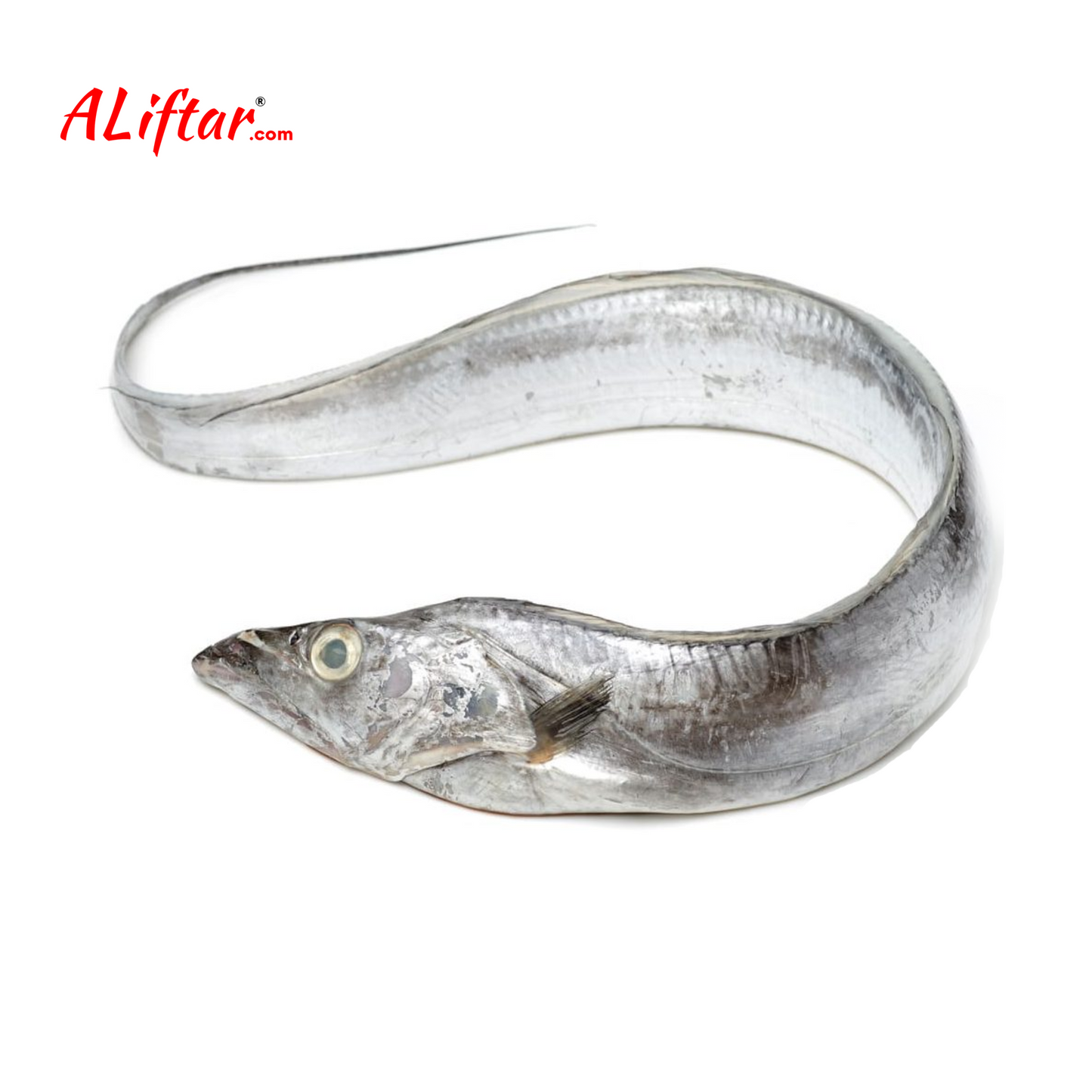 fresh Belt Ribbon Fish | whole | 1kg