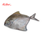 Fresh Black Pomfret Fish (BP) | Whole | 1.5kg