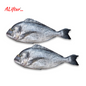 Fresh Black Seabream Fish | Whole | 1Kg