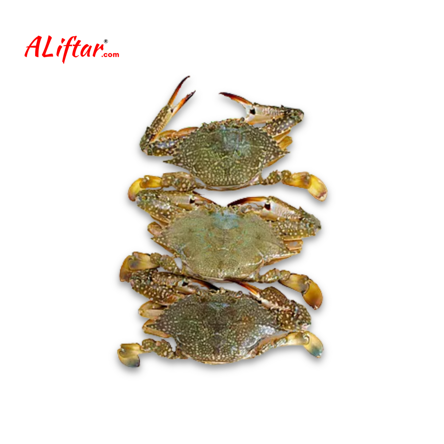 Fresh Crab | Whole | 1Kg