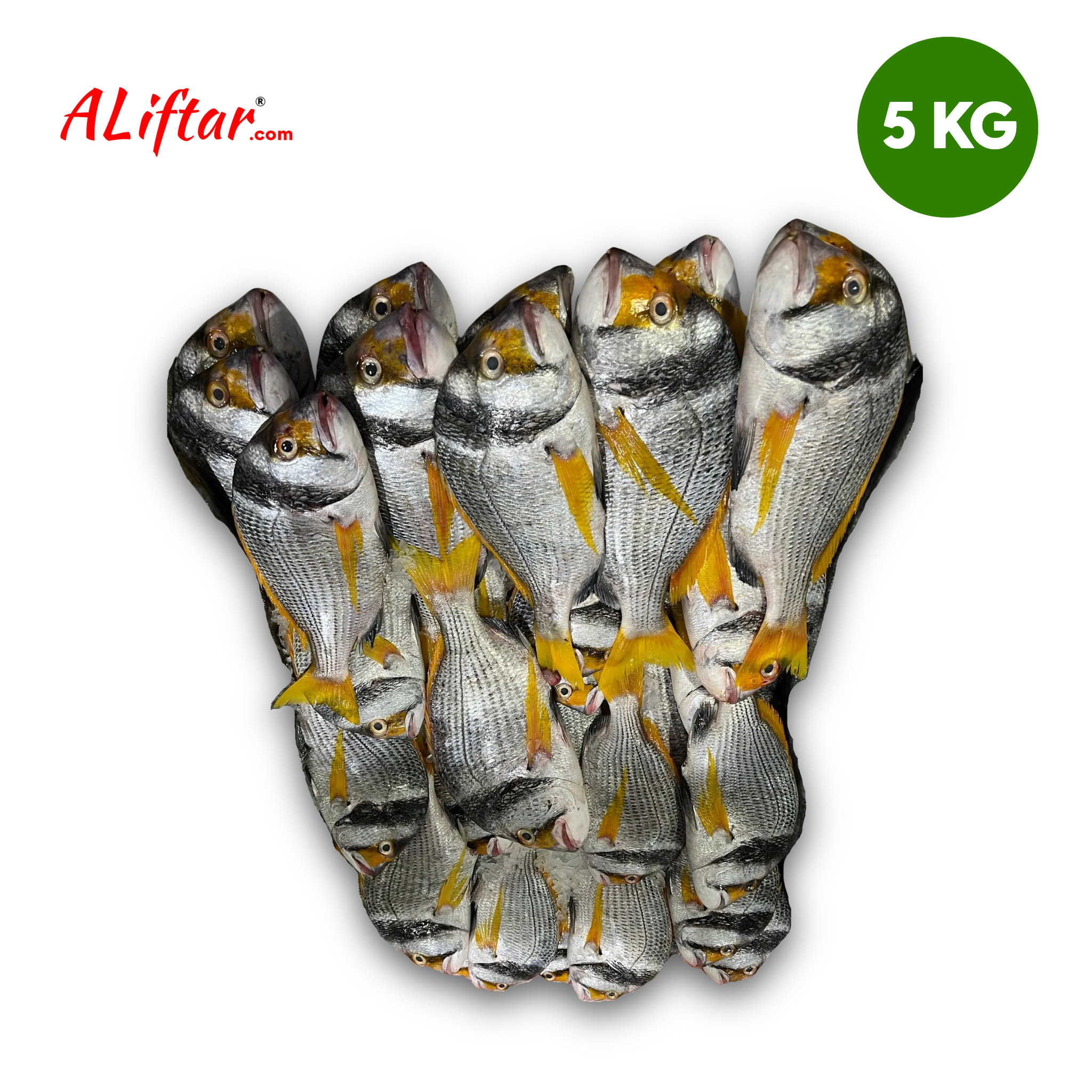 Faskar Fresh Fish | WHOLE | 5kg – ALiFTAR.com
