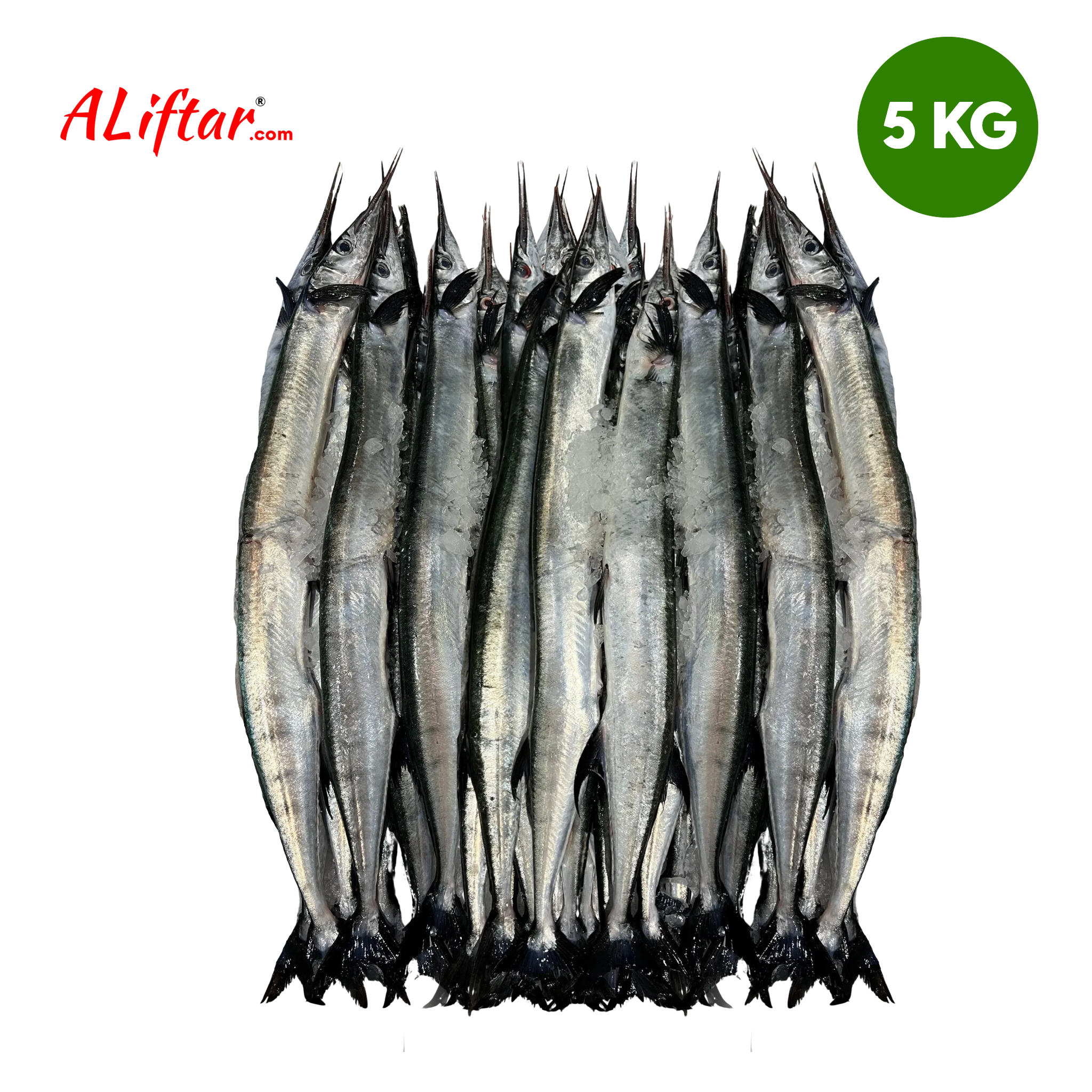 Fresh Garfish (Kolan Meen) 4-6 pcs | Whole | 5kg – ALiFTAR.com