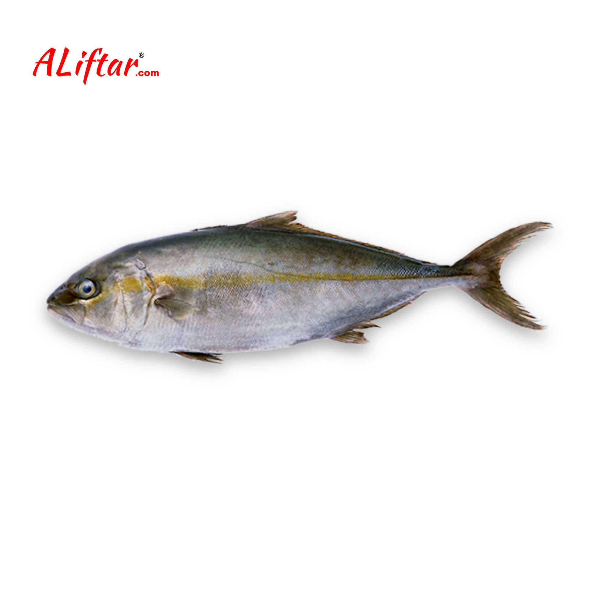 Fresh Halwayo Hamam Fish 1-2 Pcs | WHOLE | 1kg