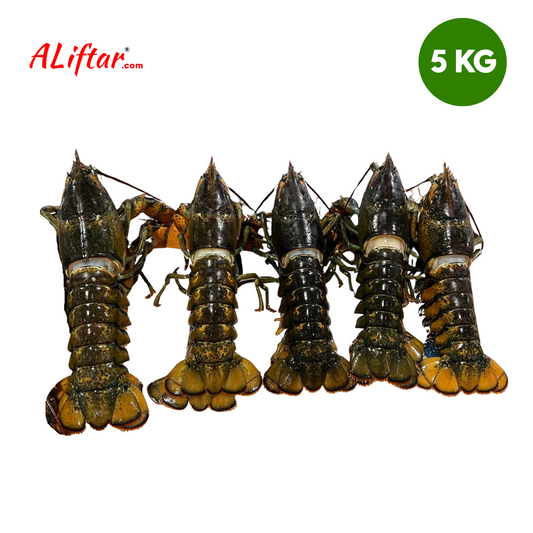 Fresh Lobster | WHOLE | 7-8 Pcs | 5.6kg