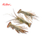 Fresh Small Lobster 2-3Pcs | Whole | 500-700g