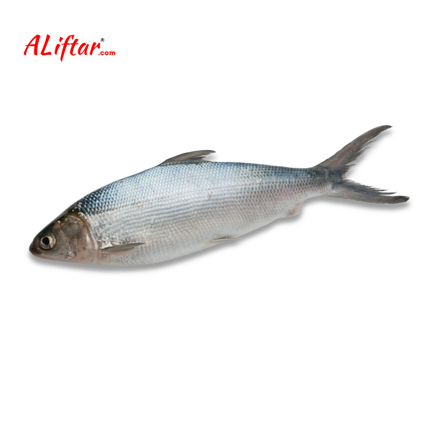 Fresh Milk Fish | Whole | 1Kg