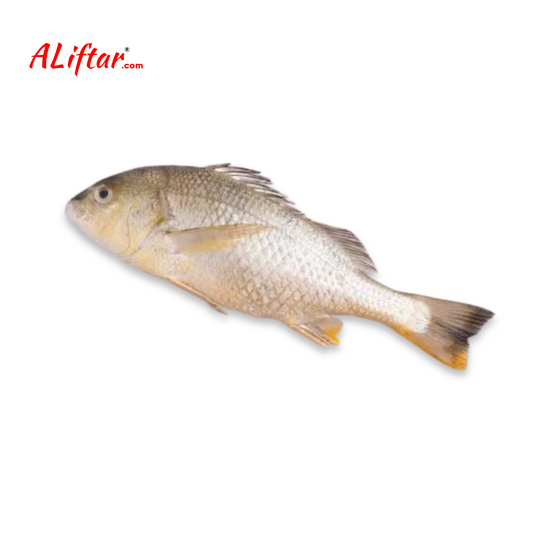 Fresh Nagroor Fish | Whole | 1kg