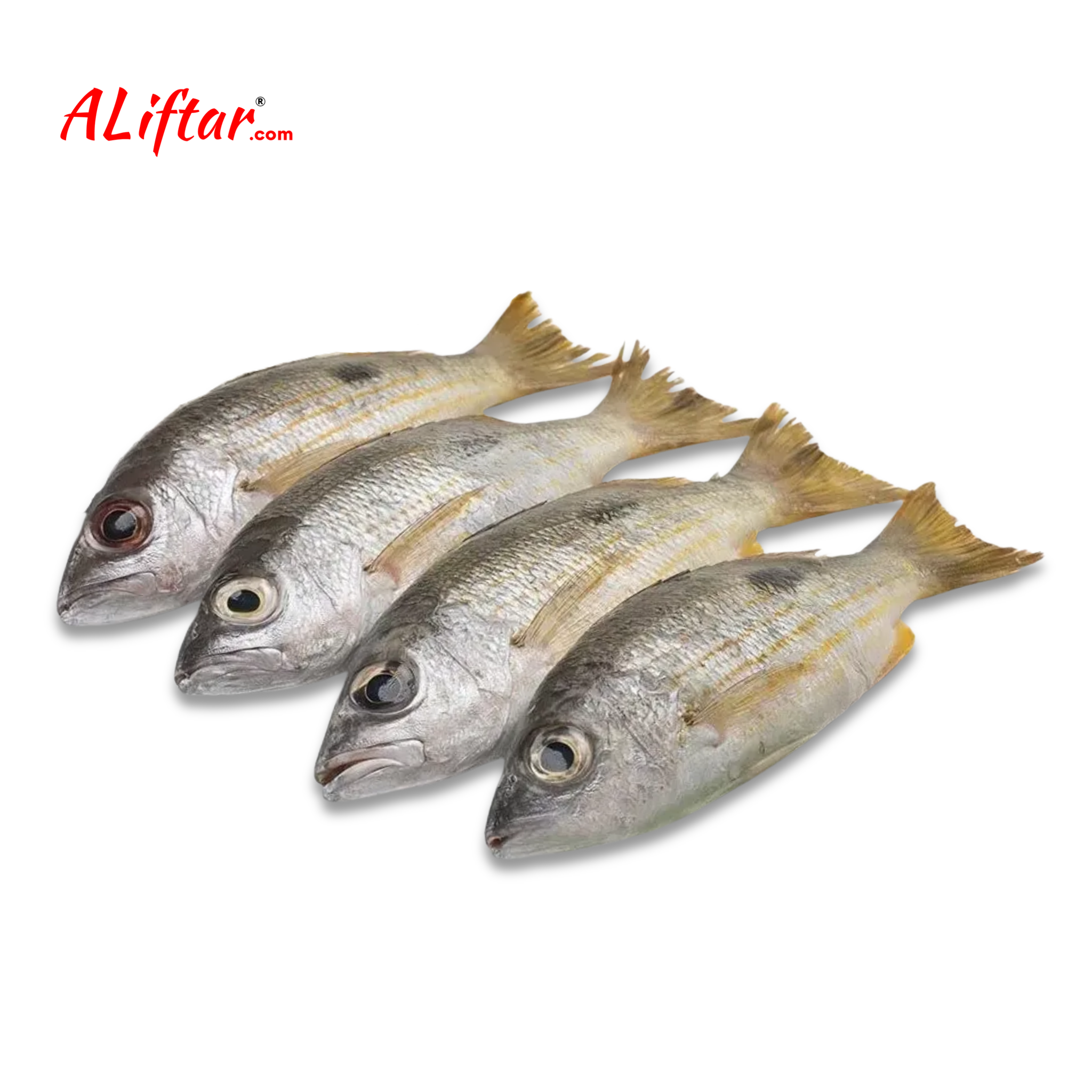 Fresh Naiser Fish | Whole | 1kg – ALiFTAR.com