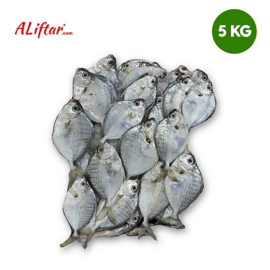 Pomfret Fish Fresh | Whole | 5kg