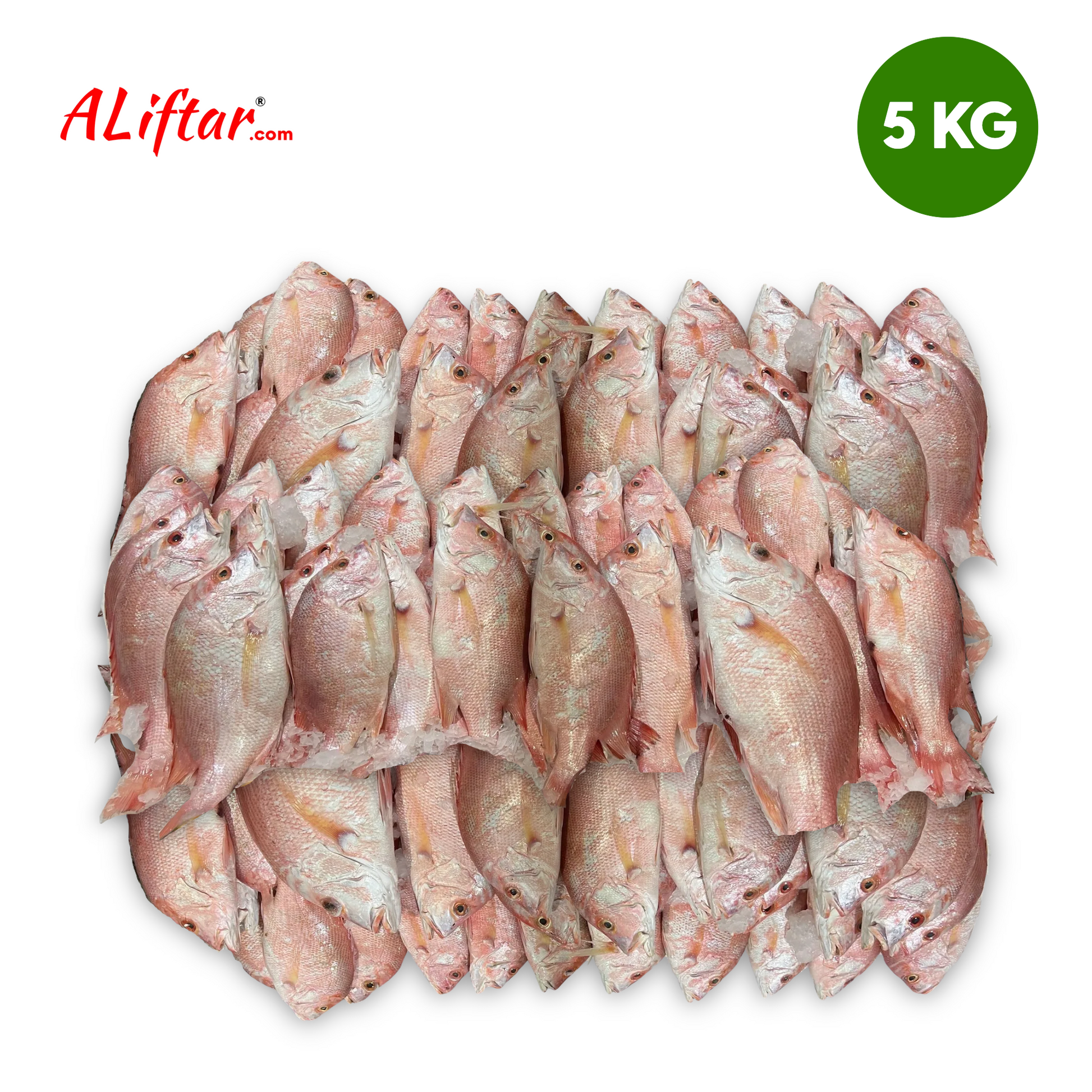 Red Snapper Fresh Fish 4-5 Pcs | Whole | 5kg