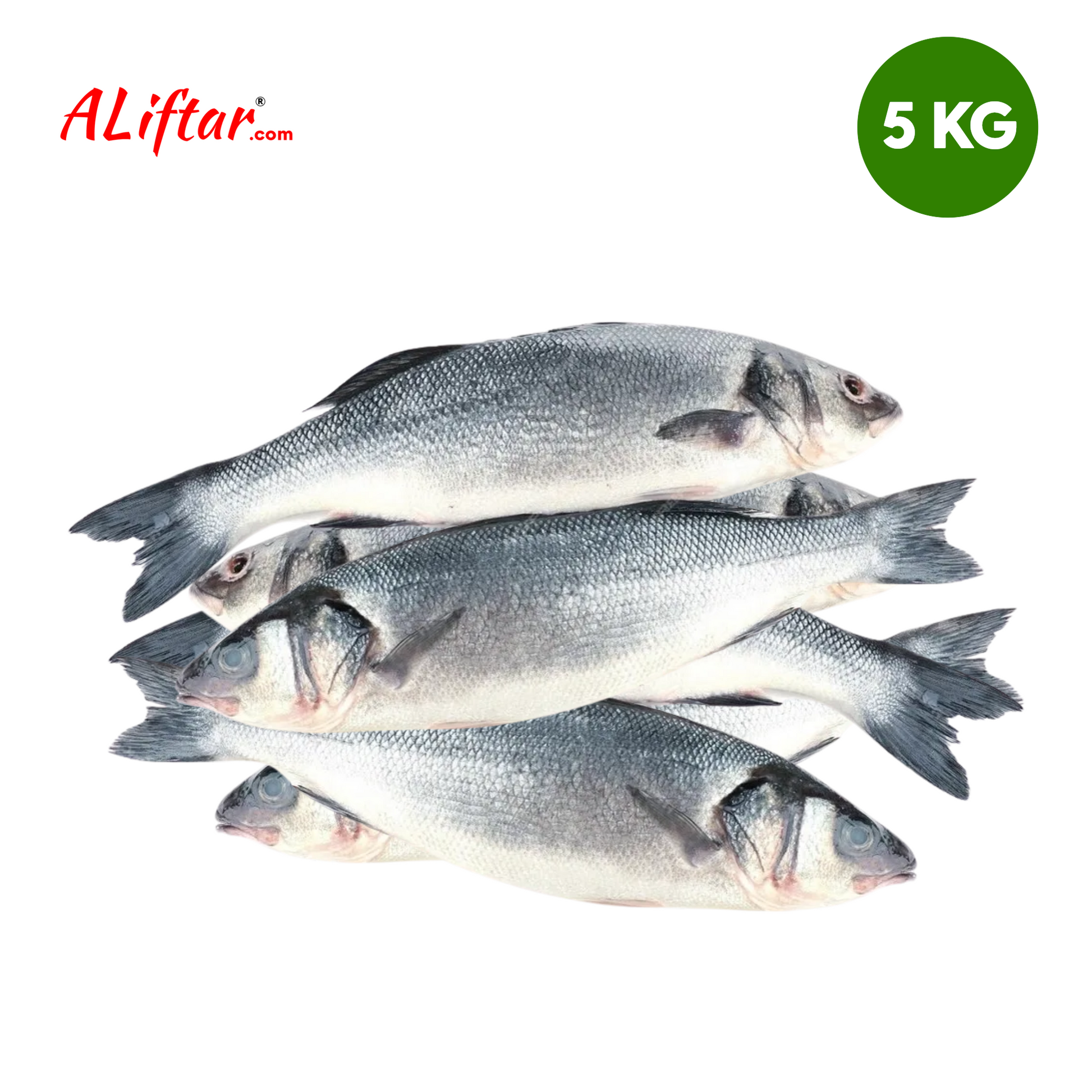 Fresh Sea Bass Fish | WHOLE |5kg