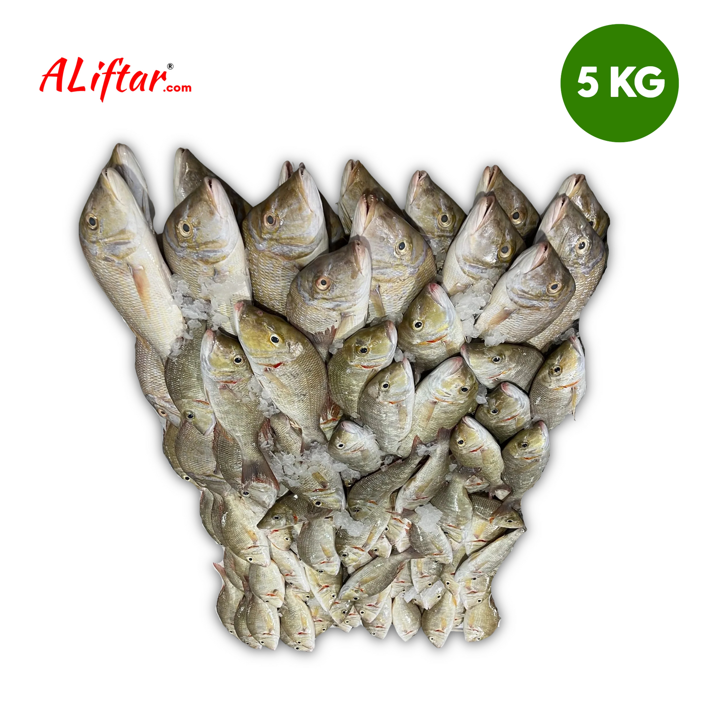 Sheri Fresh Fish | WHOLE | 5 kg