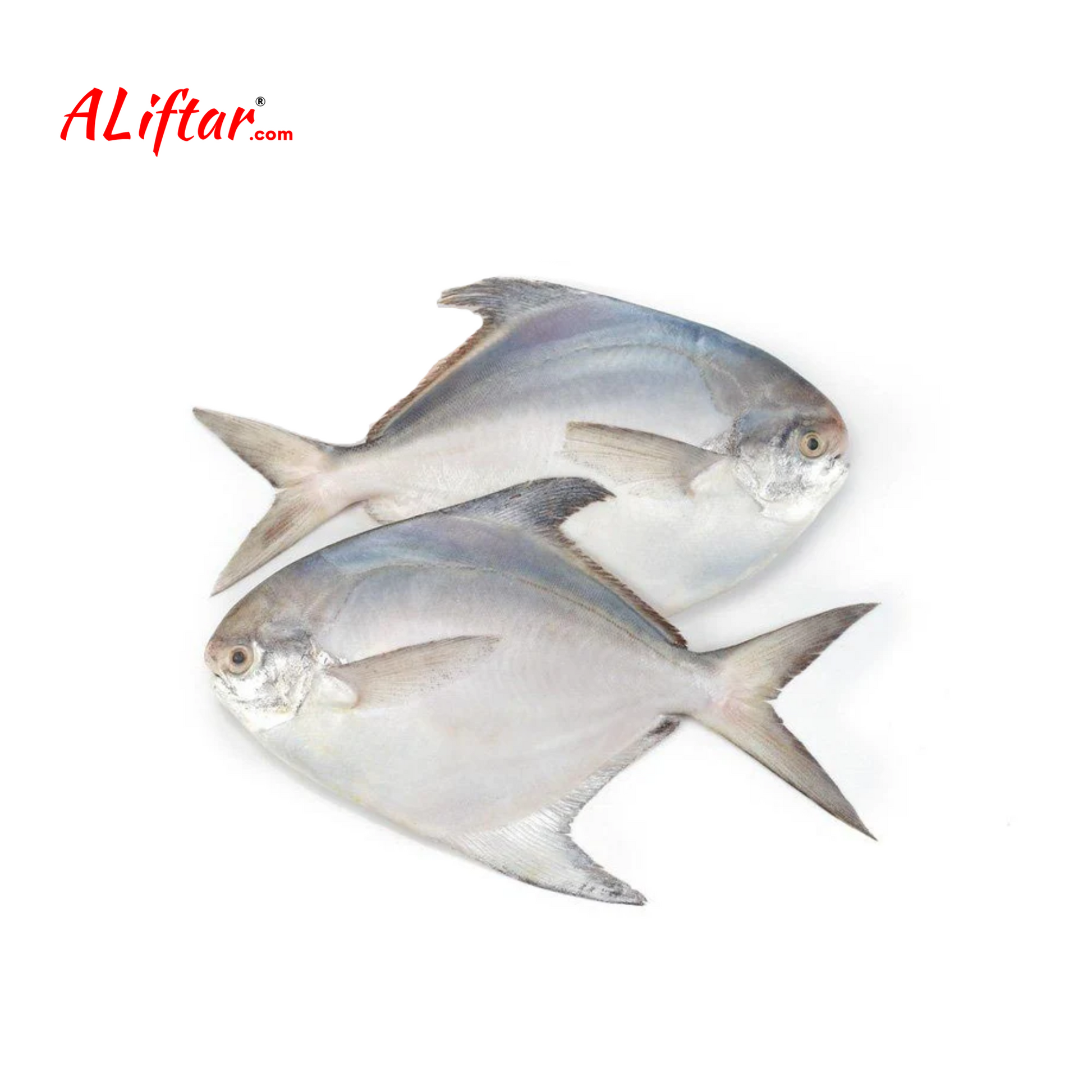 Fresh Silver Pomfret Fish 2-3 Pcs | Whole | 1kg