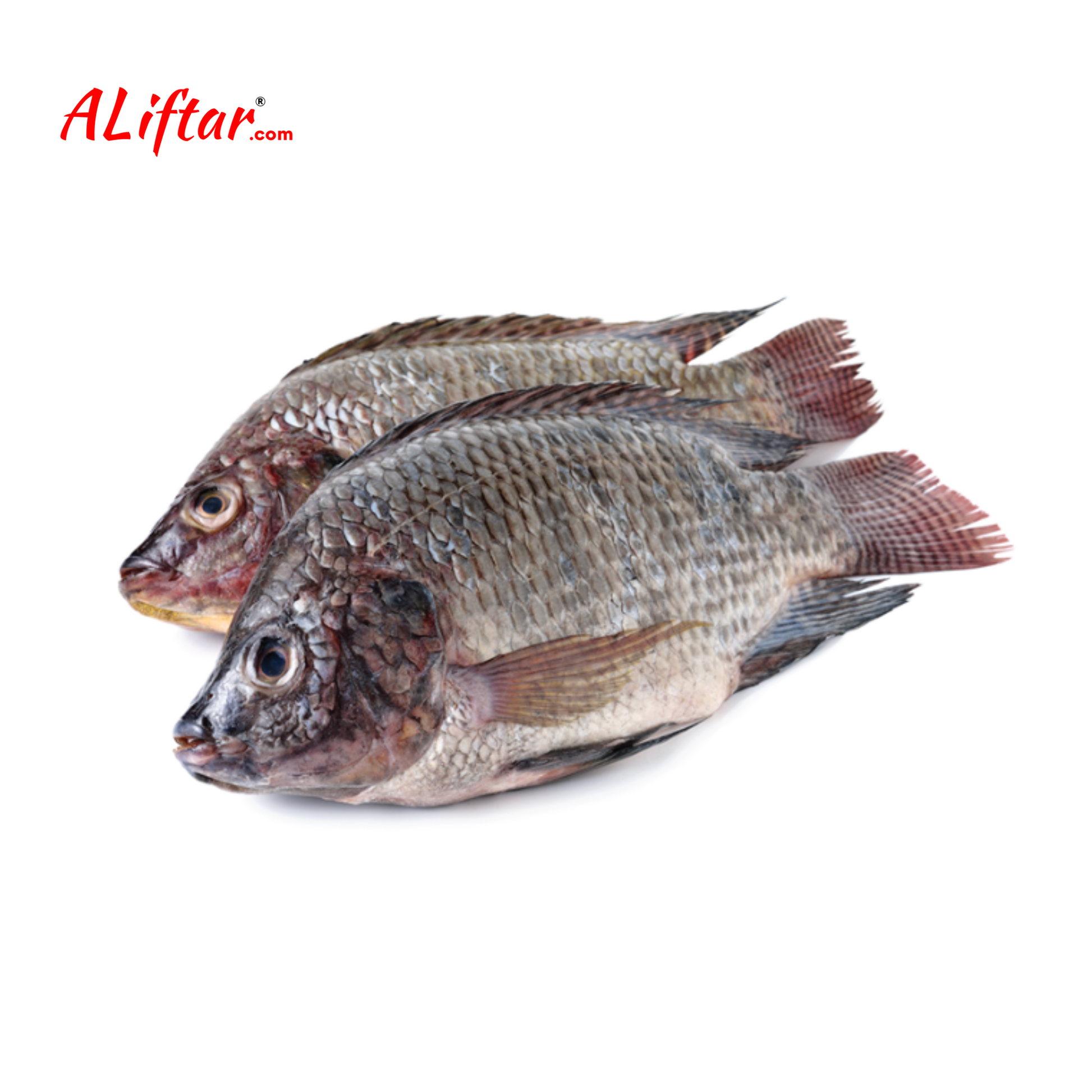 Fresh Tilapia Fish | Whole | 1Kg