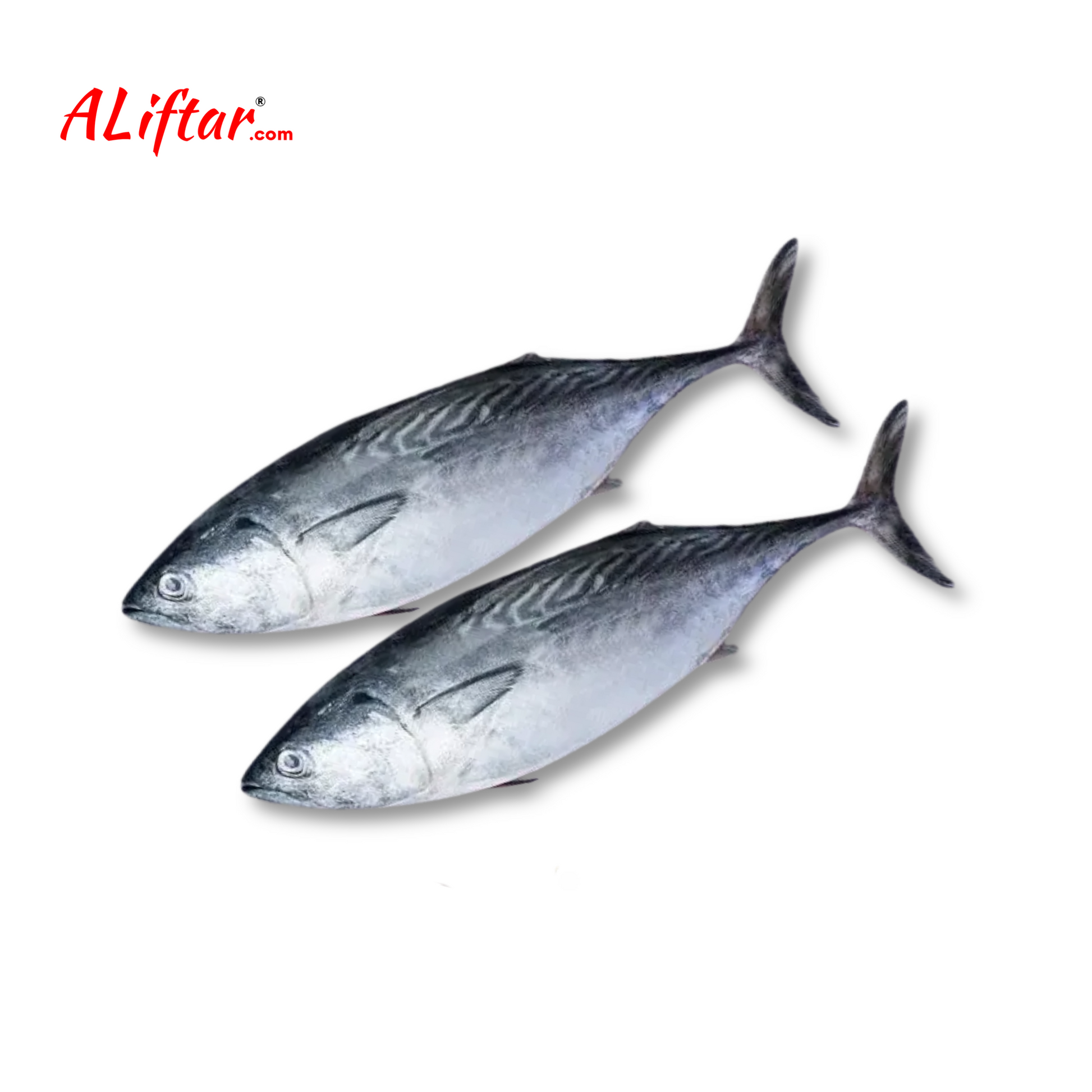 Fresh Tuna Fish 1Pcs | Whole | 1-1.5Kg