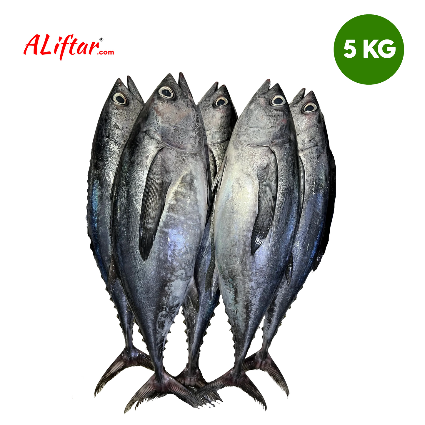 Fresh Tuna Fish | WHOLE | 4-5 Pcs | 5kg