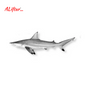 Fresh Shark Fish | Whole | 2kg+