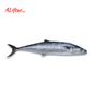 Fresh King (Surmai) Fish | Whole | 1kg