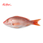 Fresh Red Snapper Fish 1-2 Pcs | Whole | 1.5kg