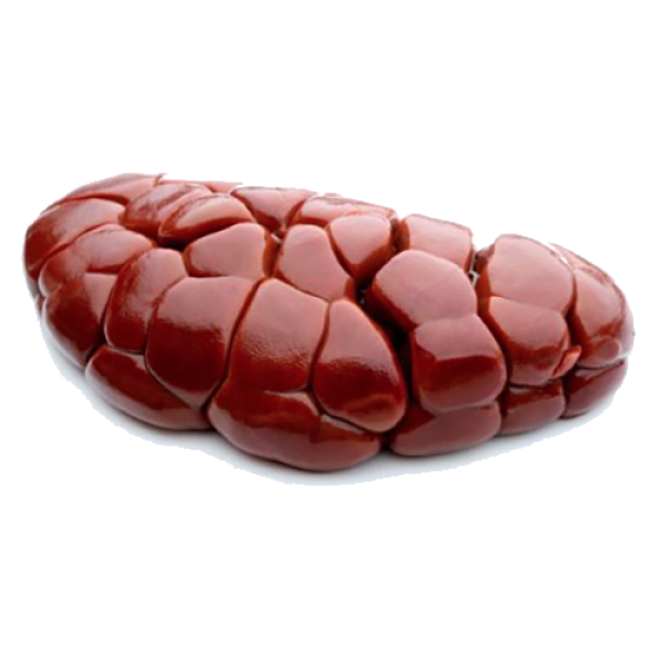 FRESH | BEEF KIDNEY | 5kg