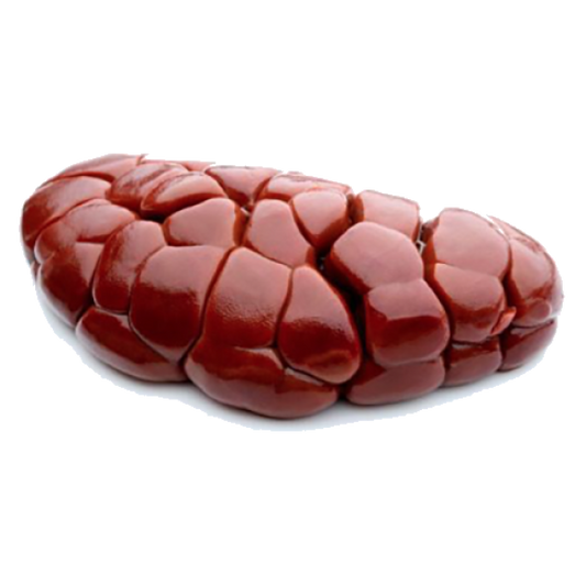 FRESH | BEEF KIDNEY | 5kg