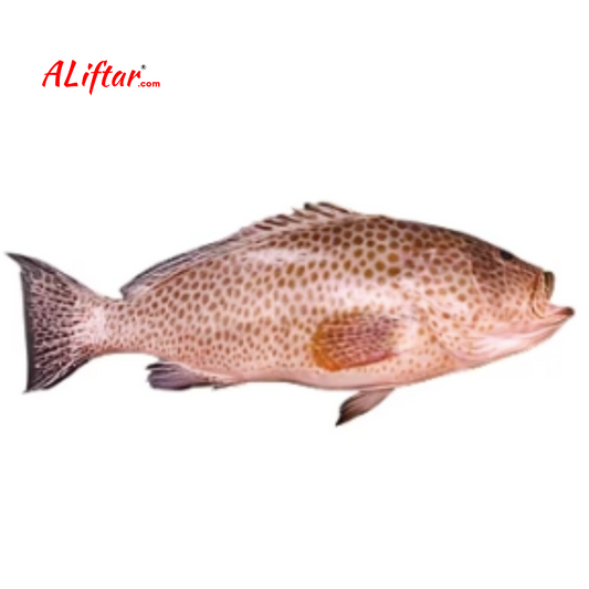 Fresh Hamour Fish | Whole | 2kg+